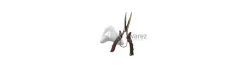 Alicates Rapala de Acero Inoxidable con Reemplaza Anillas