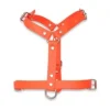 Arnés Ajustable Polytec