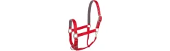 Cabezada de Cuadra BR Halter Event