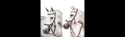 Cabezada Inglesa Horseware Micklem 2 Competition Bridle