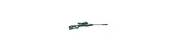 Carabina de Balines Gamo Whisper X visor + Linterna + Láser