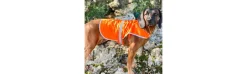 Chaleco Perro Pasión Morena Alta Visiblidad