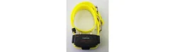 Collar Adicional para Canicom Amarillo