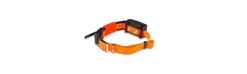 Collar Adicional Short Dogtrace X30-T