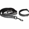 Collar y Correa para Perro Kingsland KLMacey