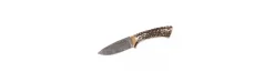 Cuchillo de Lujo Muela Colibrí Damasco