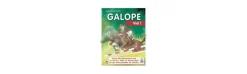 Curso de Equitación. Galope. Nivel 7.
