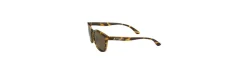 Gafas O'Wave Mataiva Concha