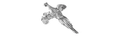 Pin Faisán