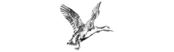 Pin Jack Pyke Pato