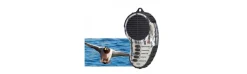 Reproductor Educativo Digital para Patos