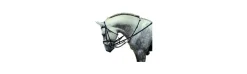 Riendas Ledering con Martingala