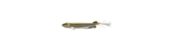 Vinilo de Daiwa Prorex V Marley Pelagic Shad